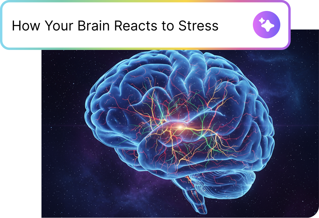 Save hours on every project